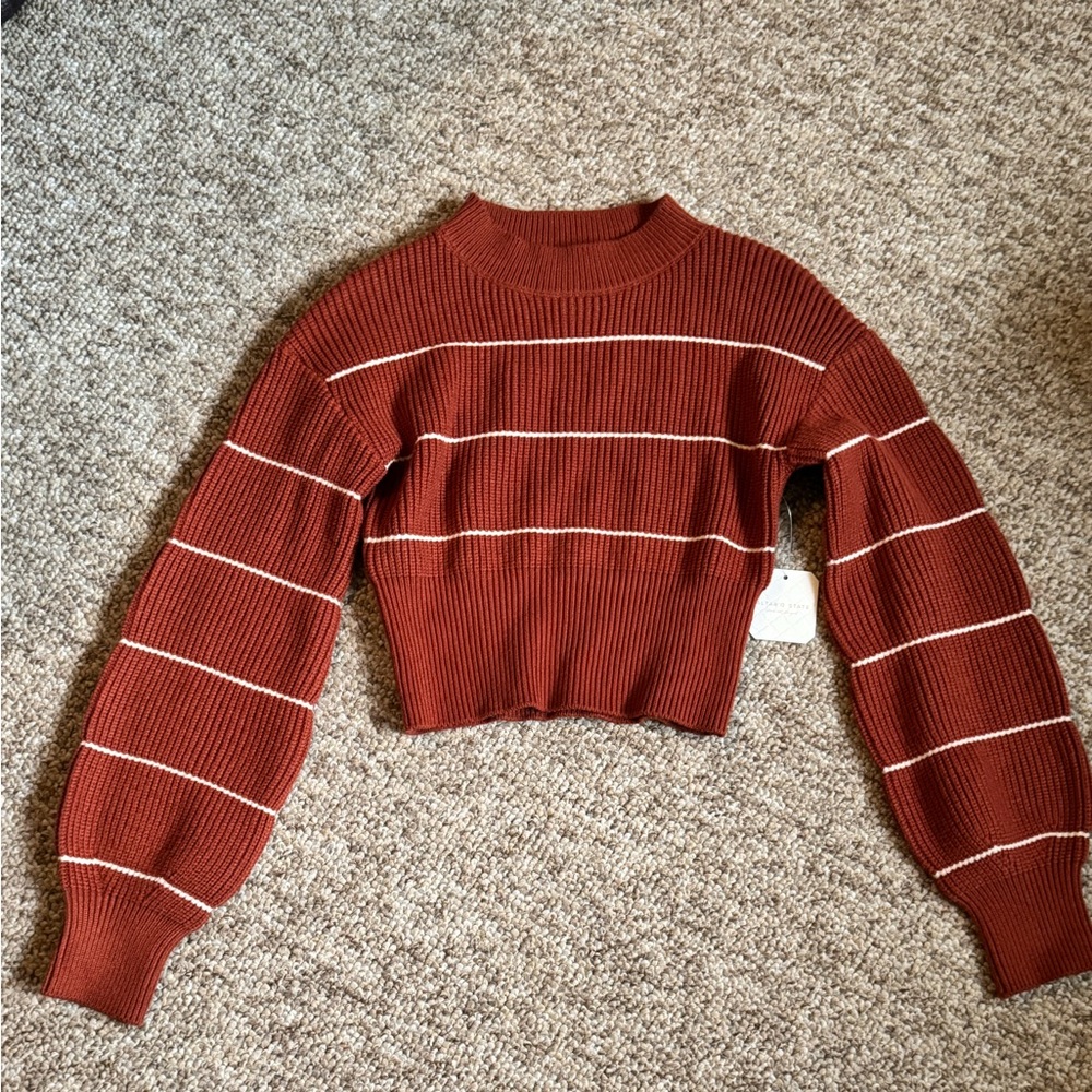 Altar'd State Brick Red Cropped Sweater with Cream Stripes